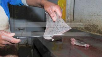 Will demand for shark fin soup vanish faster than sharks