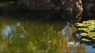 East Bay Woman Infected with West Nile