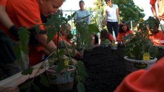 YWCA Gardening and Planter Building Project