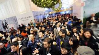 Black Friday Frenzy