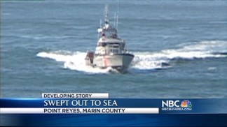 Witnesses Watch in Horror as Couple, Dog Swept Out to Sea