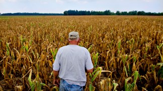 Drought: Worse than the Dust Bowl