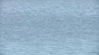 Santa Clara Water District Admits Leaked Hydraulic Fluid