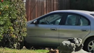 Woman Wakes Up to Car Break-In, Then Things Turn South
