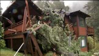 Tree Crashes Into house in Santa Cruz Mountains