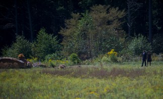 Flight 93 Memorial in Photos