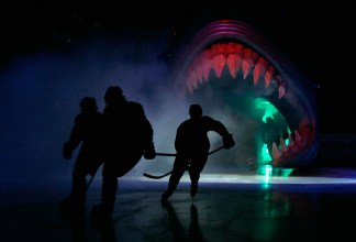 New Sharks Defenseman