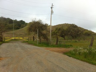 Possible New Lead in Sierra LaMar Case