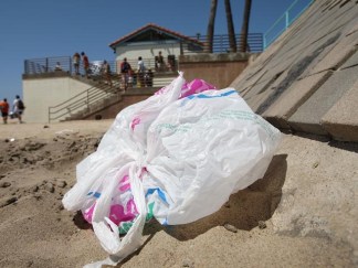 Plastic Bags Headed for the Permanent Trash Heap
