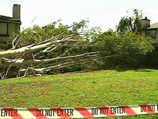 Windy Weather Whacks Bay Area