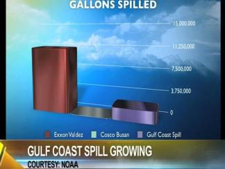 Gulf Coast Oil Spill:  Ecological disaster in the making