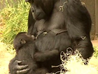 Baby Hasani Makes Public Debut