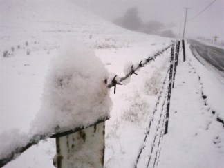 Snow in the Bay Area? You Betcha