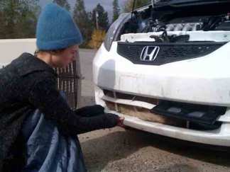 Coyote Gets Caught in Car Grill for Hours