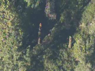 RAW VIDEO: Plane Crashes Near Emigrant Gap