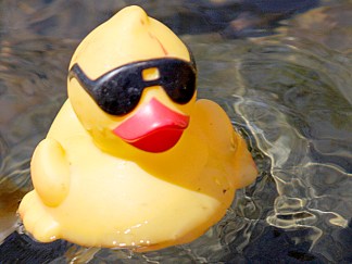 15k Rubber Duckies Race for Charity