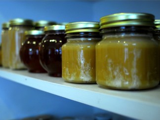 Urban Beekeeping Craze Hits the City