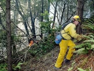 Wildfire Burns Near Boony Doon