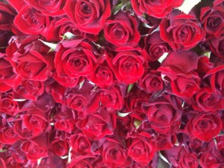 A Rose By Any Other Seller