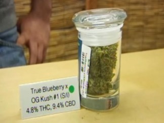 New Cannabis Strain Strips Away Debilitating Buzz