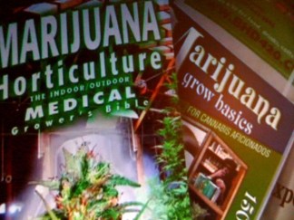 Cow Palace Hosts Medi-Pot Expo
