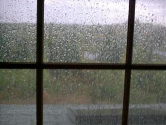 Grab Both an Umbrella and Sunglasses Today