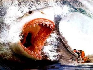 Sharks? We're Not Scared of No Stinking Sharks!