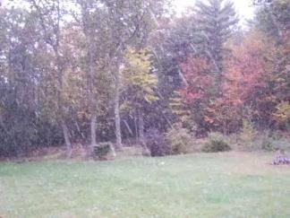Let It Snow