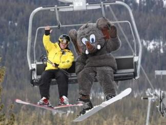 Mammoth in an Hour