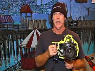 Photographer Lands Sharks Pics