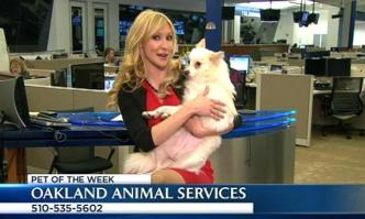 Bay Area Proud Pets: Ursula