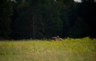 Flight 93 Caskets Enter Final Resting Place