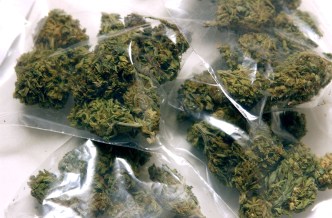 Editor's Introduction: Marijuana In America