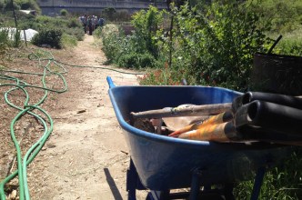 Alemany Farm is San Francisco's Urban Farming Oasis