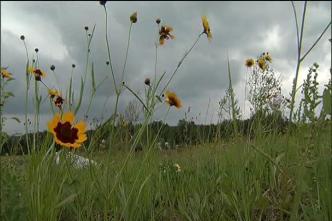 Shanksville Memorial Dedicated on Sacred Ground