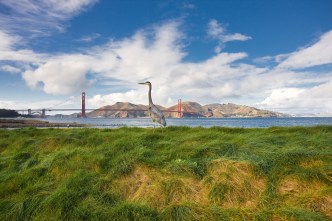 The Bay's Best Morning Runs