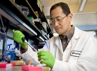 UCSF Stem Cell Prof. Wins Nobel Prize