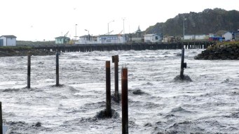 March 2011: Tsunami Hits California Coast