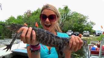 Airboat Captain Ali Braves the Beasts of the Everglades