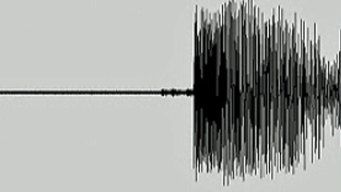 4.3 Magnitude Quake Hits off California Coast