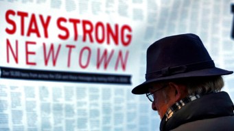 Will Newtown Prompt Gun Reform in Washington?