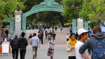 Berkeley Scientists Help With Sudden Oak Death