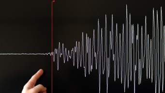 Tsunami Generated by 8.0 Quake in South Pacific