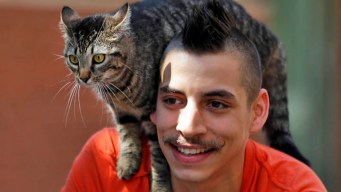 Man, Cat Enjoy Bike Rides