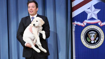 Romney Clinches the Puppy Vote on "Fallon"