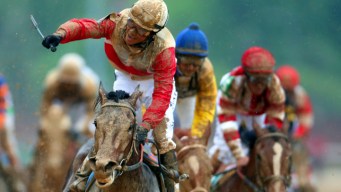 Orb Wins Kentucky Derby on "Perfect Trip"