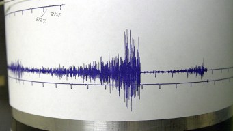 Earthquakes Are Inevitable; Destruction Is Not