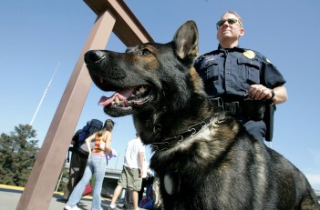 K9 Competition Features Police Dog Takedowns