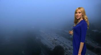 Giants Ticker Tape, Halloween Forecast