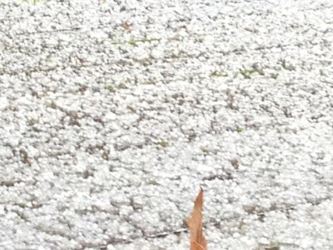 Winter Weather Returns to the Bay Area
